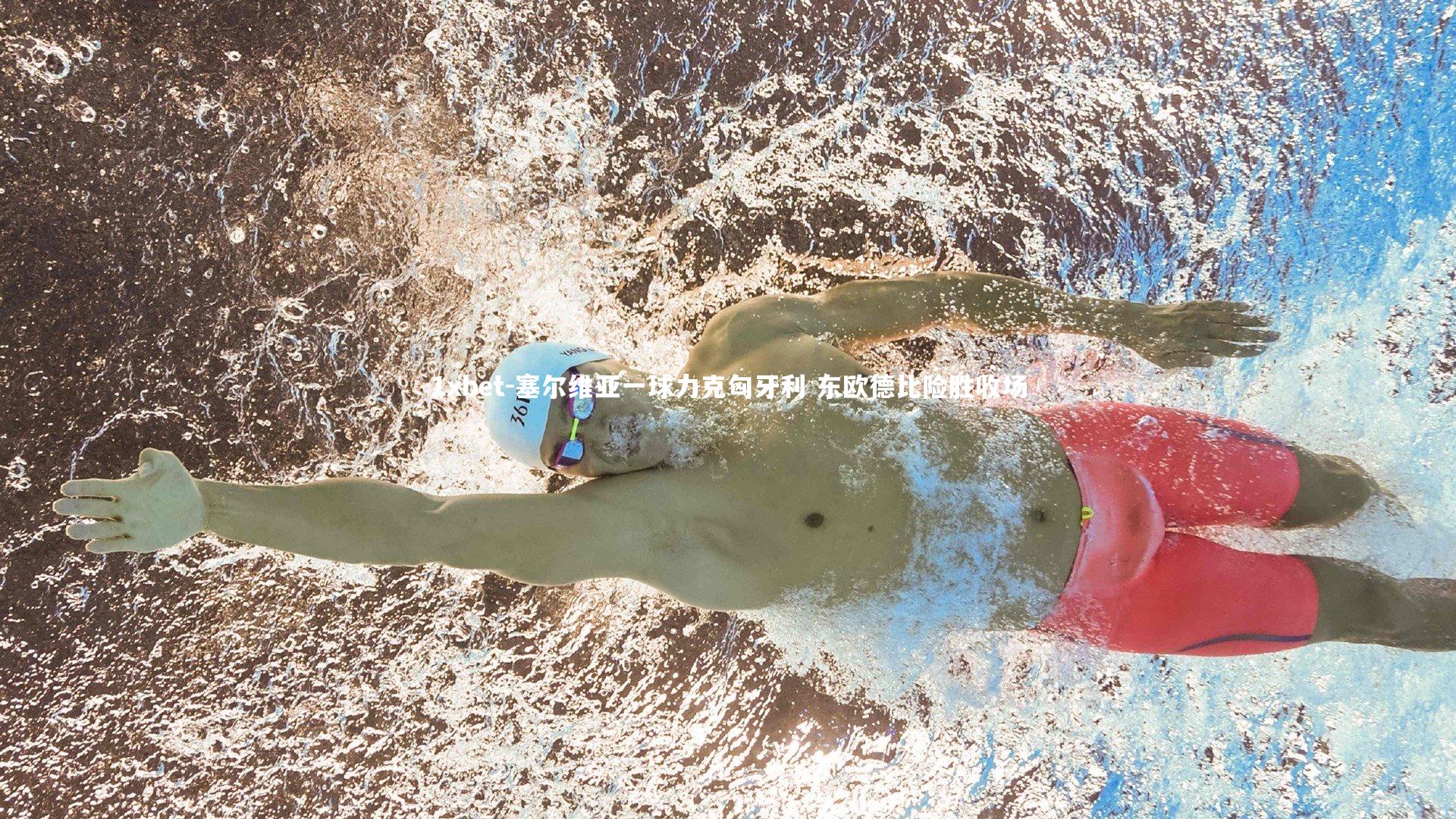 塞尔维亚一球力克匈牙利 东欧德比险胜收场